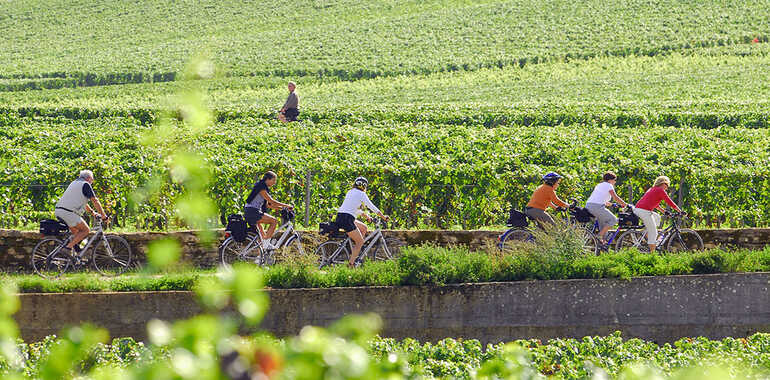 Bourgogne du Sud