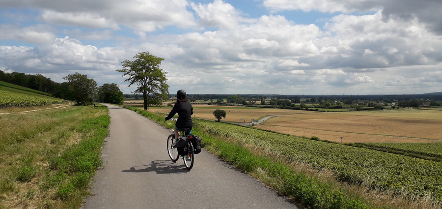 Pedaler En Bourgogne