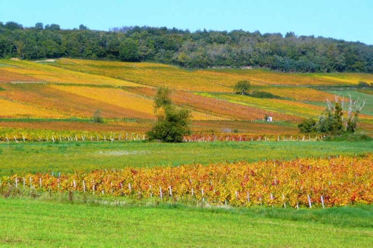 Les Coteaux De Saules Roger Lespour Clp 1576680650 768x511